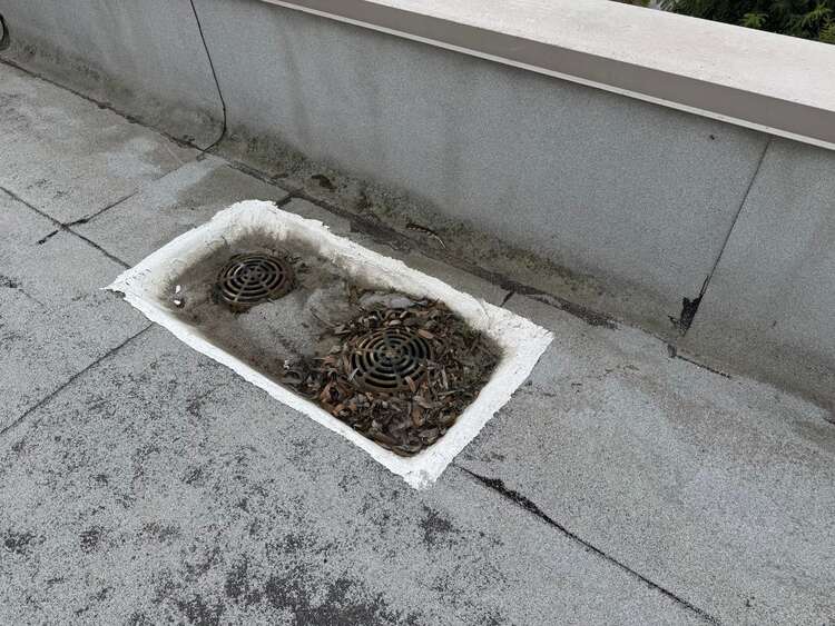 Flat roof drains clogged with leaves and debris